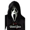 FUN WORLD Costume Accessories Ghostface Mask With Shroud for Adults