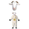 FUN WORLD Costumes G.O.A.T Costume for Adults, Jumpsuit and Mask 071765153157