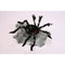 FUN WORLD Halloween Animatronic Giant Jumping Spider, 36 Inches, 1 Count 71765027014