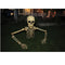 FUN WORLD Halloween Skeleton Grave Breaker, 48 Inches, 1 Count 71765160933