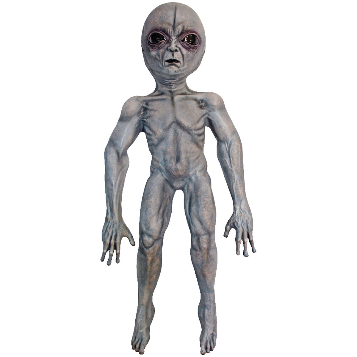 GHOULISH PRODUCTIONS Halloween Area 51 Alien Prop, 39 Inches, 1 Count