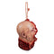 GHOULISH PRODUCTIONS Halloween Shotgun Blast Hanging Decoration, 1 Count 886390279529