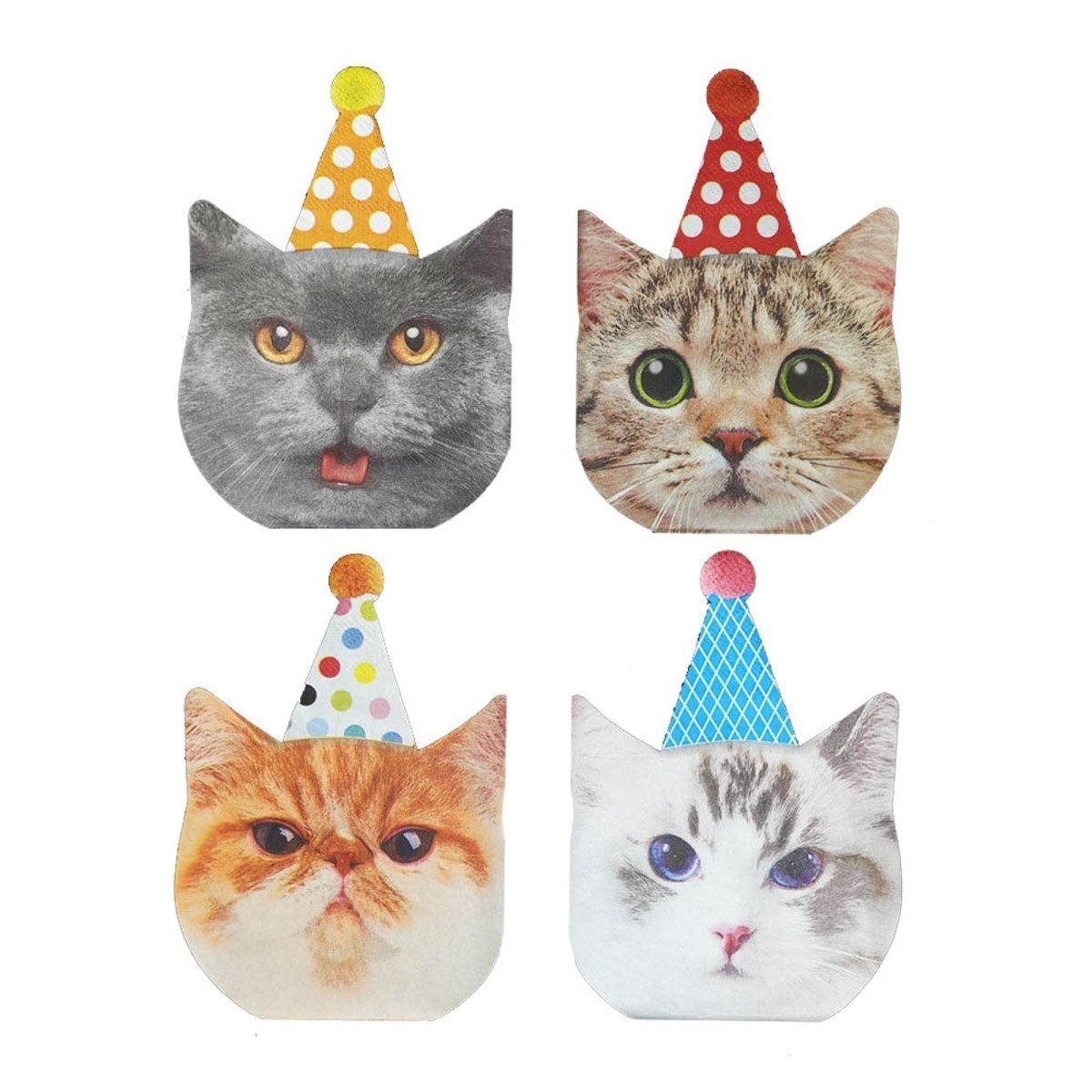 GLOCO ACCENTS INC Kids Birthday Party Cats Birthday Small Beverage Napkins, 16 Count 885093009754