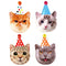 GLOCO ACCENTS INC Kids Birthday Party Cats Birthday Small Dessert Paper Plates, 7 Inches, 8 Count 885093009747
