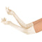 GONG ZHENMING Costume Accessories Champagne Beige Long Satin Gloves for Adults 840482506382
