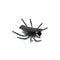 Great Pretenders Impulse Buying Creepy Spiders Hair Clips for Kids, 2 Count 771877880865