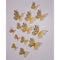 Guangzhou Tomas Crafts Co limited Balloons Gold 3D Butterfly Decorations, 12 Count 810120711157