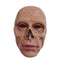 HMS NOUVEAUTE LTEE Costume Accessories Fallout Ghoul Front Face Mask for Adults 057543029227