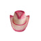 HMS NOUVEAUTE LTEE Costume Accessories Pink Drifter Cowgirl Hat for Adults