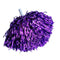 HMS NOUVEAUTE LTEE Sports Theme Cheerleading Pom Poms, Purple, 2 Count 057543416256
