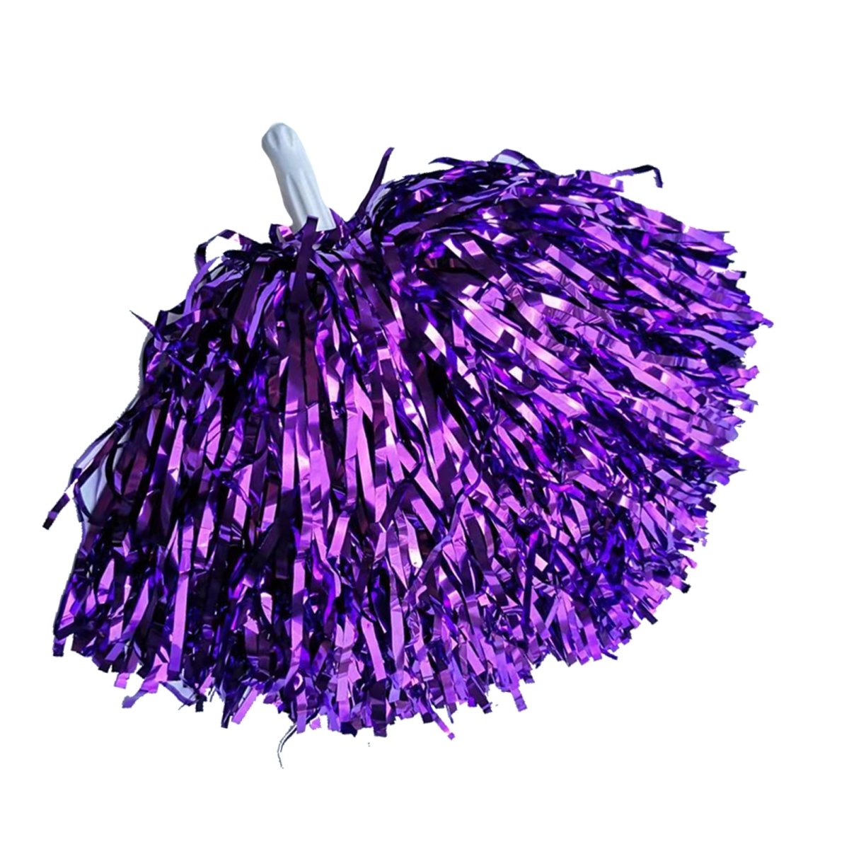 HMS NOUVEAUTE LTEE Sports Theme Cheerleading Pom Poms, Purple, 2 Count 057543416256