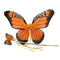 IVY TRADING INC. Costume Accessories Orange Monarch Butterfly Wings and Wand for Kids 8336572323493