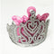 IVY TRADING INC. Costume Accessories Silver Tiara. 1 Count 8336572000929
