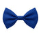 JIANGXI PANS ANIMATION CULTURE CREATIVE CO.,LTD Costume Accessories Blue Bow Tie with Adjustable Strap, 1 Count 840482502438