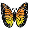 LE GROUPE BLC INTL INC Balloons Monarch Butterfly Glow Supershape Foil Balloon, 25 Inches, 1 Count 026635476645