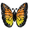 LE GROUPE BLC INTL INC Balloons Monarch Butterfly Glow Supershape Foil Balloon, 25 Inches, 1 Count 026635476645