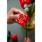 LEGO Toys & Games LEGO Botanical Collection Bouquet of Roses, 10328, Ages 18+, 822 Pieces