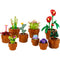 LEGO Toys & Games LEGO Botanical Tiny Plants, 10329, Ages 18+, 758 Pieces 673419387507