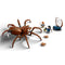 LEGO Toys & Games LEGO Harry Potter Aragog in the Forbidden Forest, 76434, Ages 7+, 195 Pieces 673419393546
