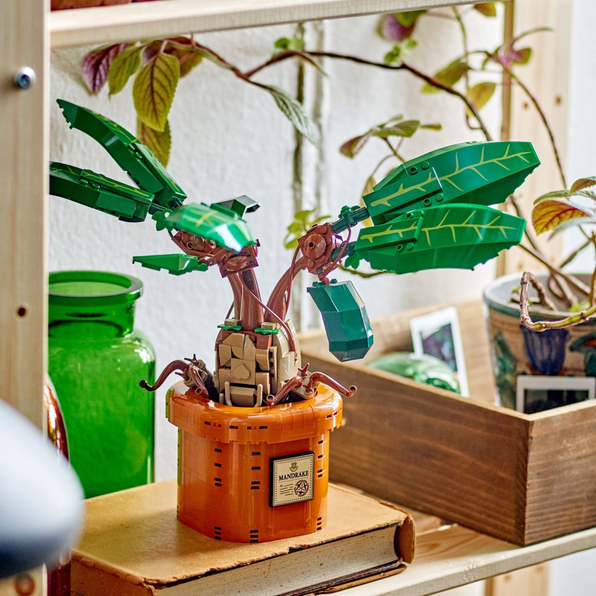 【MAN】 Mandrake 76433 | Harry Potter™ | Buy online at the Official LEGO