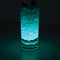 Lincond Industry Co. Ltd Lights/special Fx Light Up LED Drink Coasters, Multi-Color LED, Bottle Glorifier, 10 count 810077657539