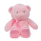 LINZY TOYS INC. Plushes My First Teddy 9 In. Asst 813237022659