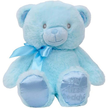 MY FIRST FRIEND TEDDY BEAR - BLUE main image 0