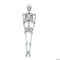 MORRIS COSTUMES Halloween Posable Disco Skeleton, 60 Inches, 1 Count 197640529128