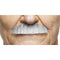 MUSTACHES Costume Accessories Grey and White Painter Brush Mustache, 1 Count 4772036001189