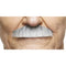 MUSTACHES Costume Accessories Grey and White Painter Brush Mustache, 1 Count 4772036001189