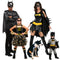 Party Expert Batman Family Costumes 717437756