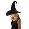 PARTY PLAY LIMITED Costume Accessories Black Witch Hat with Spider Web for Adults 84048501912
