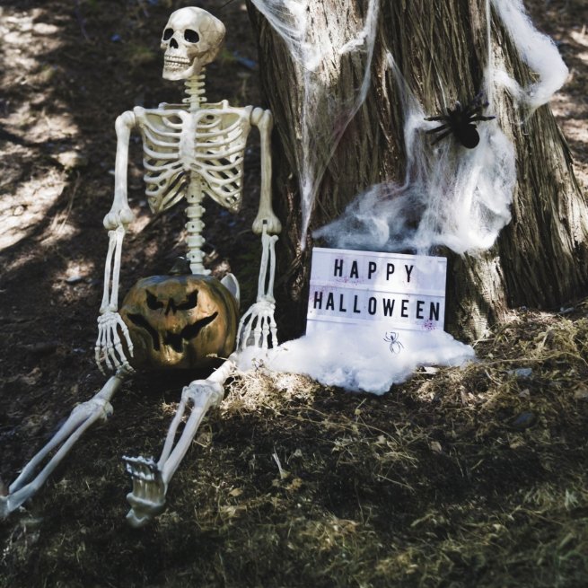 Halloween Outdoor Decor
