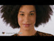 Play Youtube video of Temptress Chestnut 660