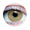 PRIMAL CONTACT LENSES Costume Accessories Charm Chesnut Contact Lenses, 3 Month Usage 628153226544
