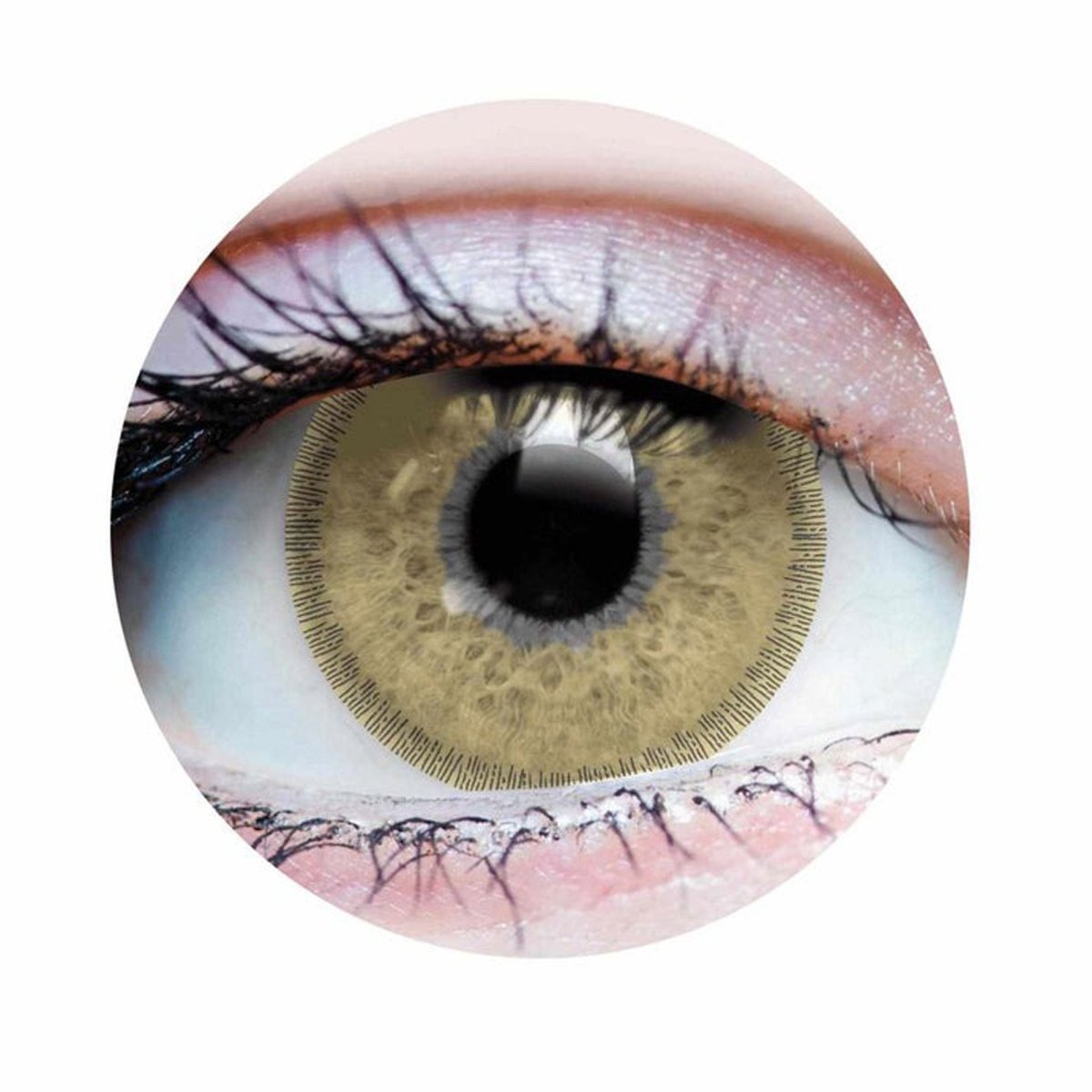 PRIMAL CONTACT LENSES Costume Accessories Charm Chesnut Contact Lenses, 3 Month Usage 628153226544