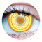 PRIMAL CONTACT LENSES Costume Accessories Makima Yellow Contact Lenses, 3 Month Usage 628153228241