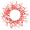 PRIMAL CONTACT LENSES Costume Accessories PRIMAL® Berserker I - White and Red Coloured Contact Lenses, 3 months usage 628153229293