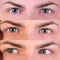 PRIMAL CONTACT LENSES Costume Accessories PRIMAL® Charm Chestnut - Brown Coloured Contact Lenses 628153226544