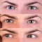 PRIMAL CONTACT LENSES Costume Accessories PRIMAL® Charm Chestnut - Brown Coloured Contact Lenses 628153226544