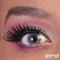PRIMAL CONTACT LENSES Costume Accessories PRIMAL® Charm Sapphire - Blue Coloured Contact Lenses, 3 months usage 628153226537