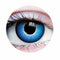 PRIMAL CONTACT LENSES Costume Accessories PRIMAL® Chucky - Vivid Blue Coloured Contact Lenses, 3 months usage 628153229323