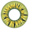 PRIMAL CONTACT LENSES Costume Accessories PRIMAL® Himiko Toga - Yellow Coloured Contact Lenses, 3 Month Usage 628153229880