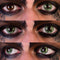 PRIMAL CONTACT LENSES Costume Accessories PRIMAL® Lizard King - Green Coloured Contact Lenses, 3 months usage 628153229361