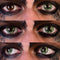 PRIMAL CONTACT LENSES Costume Accessories PRIMAL® Lizard King - Green Coloured Contact Lenses, 3 months usage 628153229361