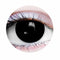 PRIMAL CONTACT LENSES Costume Accessories PRIMAL® Possessed - Black Coloured Contact Lenses, 3 months usage 628153227961