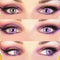 PRIMAL CONTACT LENSES Costume Accessories PRIMAL® Succubus - Purple Cosplay Coloured Contact Lenses, 3 Month Usage 628153229712