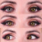 PRIMAL CONTACT LENSES Costume Accessories PRIMAL® Temptress Chestnut - Brown Coloured Contact Lenses, 3 Month Usage 629153226605