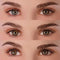 PRIMAL CONTACT LENSES Costume Accessories PRIMAL® Twilight Hazel - Brown Coloured Contact Lenses, 3 Months Usage 628153225103