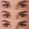 PRIMAL CONTACT LENSES Costume Accessories PRIMAL® Twilight Hazel - Brown Coloured Contact Lenses, 3 Months Usage 628153225103